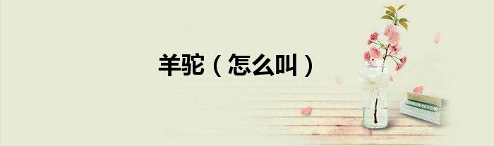羊驼（怎么叫）