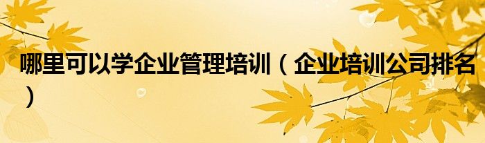 哪里可以学企业管理培训（企业培训公司排名）