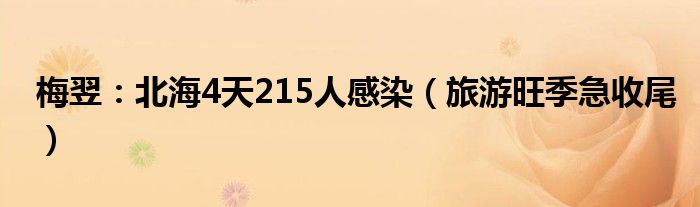 梅翌：北海4天215人感染（旅游旺季急收尾）