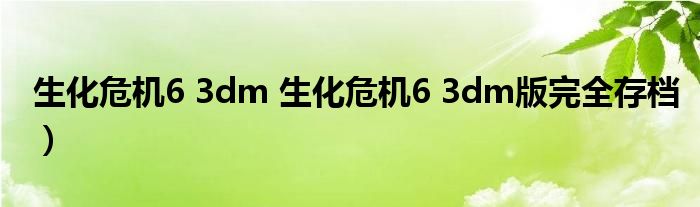 生化危机6 3dm 生化危机6 3dm版完全存档）