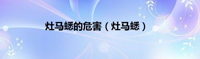 灶马蟋的危害（灶马蟋）