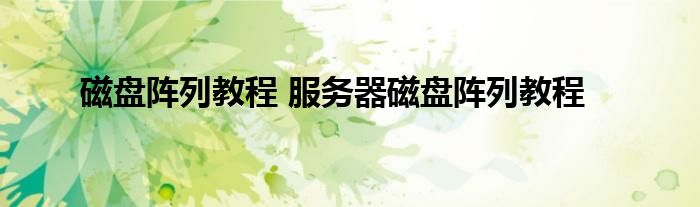 磁盘阵列教程 服务器磁盘阵列教程