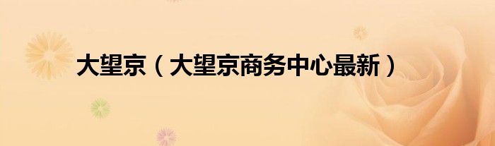 大望京（大望京商务中心最新）