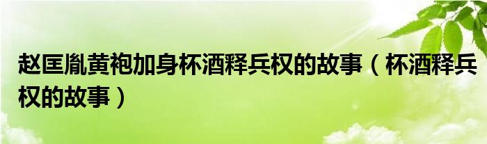 赵匡胤黄袍加身杯酒释兵权的故事（杯酒释兵权的故事）