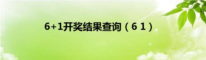 6+1开奖结果查询（6 1）