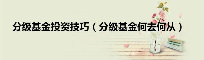 分级基金投资技巧（分级基金何去何从）