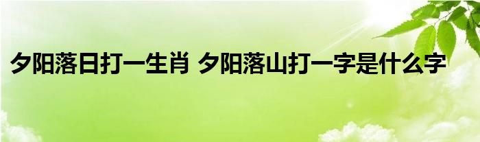 夕阳落日打一生肖 夕阳落山打一字是什么字