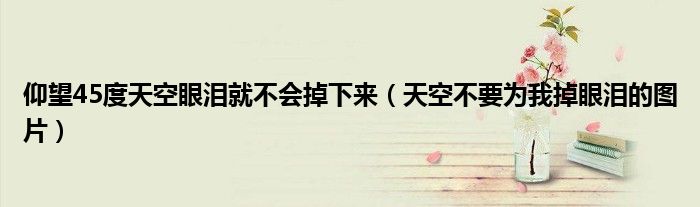 仰望45度天空眼泪就不会掉下来（天空不要为我掉眼泪的图片）