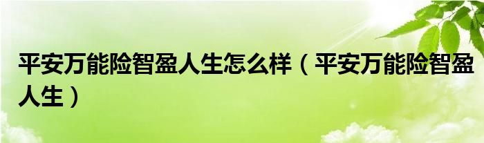 平安万能险智盈人生怎么样（平安万能险智盈人生）