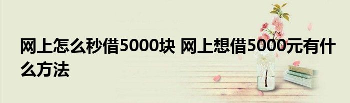 网上怎么秒借5000块 网上想借5000元有什么方法