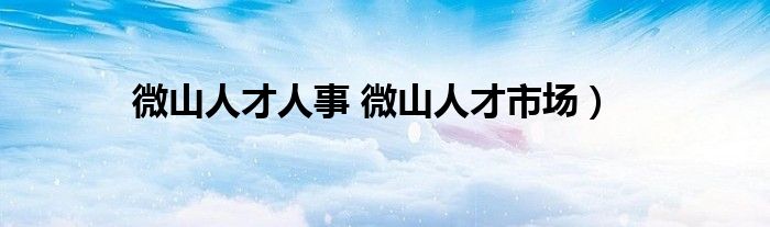 微山人才人事 微山人才市场）