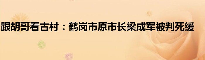 跟胡哥看古村：鹤岗市原市长梁成军被判死缓