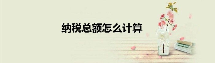 纳税总额怎么计算