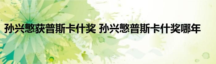孙兴慜获普斯卡什奖 孙兴慜普斯卡什奖哪年