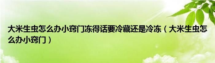 大米生虫怎么办小窍门冻得话要冷藏还是冷冻（大米生虫怎么办小窍门）