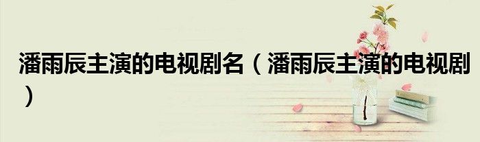 潘雨辰主演的电视剧名（潘雨辰主演的电视剧）