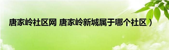 唐家岭社区网 唐家岭新城属于哪个社区）