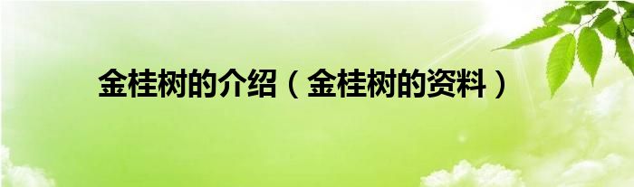 金桂树的介绍（金桂树的资料）