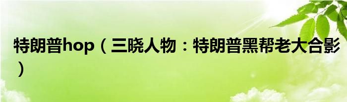 特朗普hop（三晓人物：特朗普黑帮老大合影）