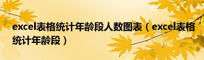 excel表格统计年龄段人数图表（excel表格统计年龄段）