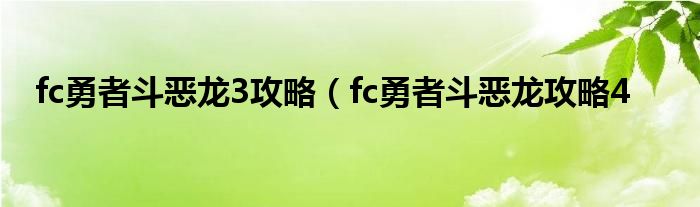 fc勇者斗恶龙3攻略（fc勇者斗恶龙攻略4