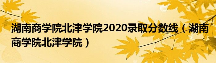 湖南商学院北津学院2020录取分数线（湖南商学院北津学院）