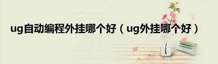 ug自动编程外挂哪个好（ug外挂哪个好）