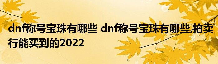 dnf称号宝珠有哪些 dnf称号宝珠有哪些,拍卖行能买到的2022