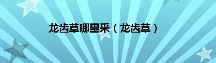 龙齿草哪里采（龙齿草）
