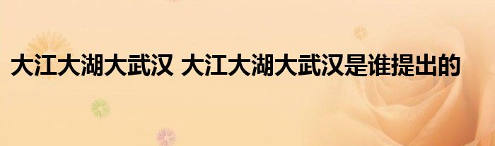 大江大湖大武汉 大江大湖大武汉是谁提出的