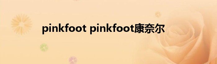 pinkfoot pinkfoot康奈尔