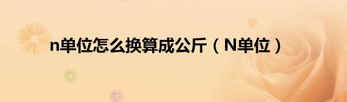 n单位怎么换算成公斤（N单位）
