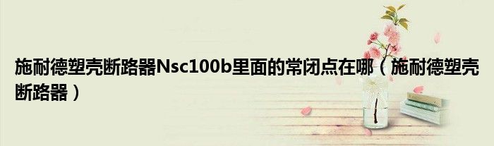 施耐德塑壳断路器Nsc100b里面的常闭点在哪（施耐德塑壳断路器）