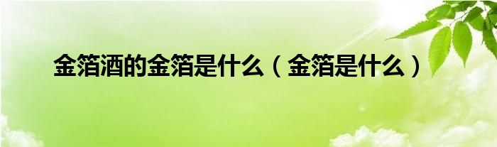 金箔酒的金箔是什么（金箔是什么）