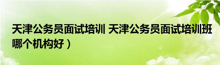 天津公务员面试培训 天津公务员面试培训班哪个机构好）