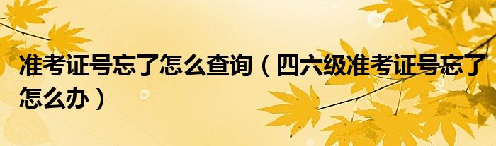 准考证号忘了怎么查询（四六级准考证号忘了怎么办）
