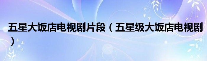 五星大饭店电视剧片段（五星级大饭店电视剧）