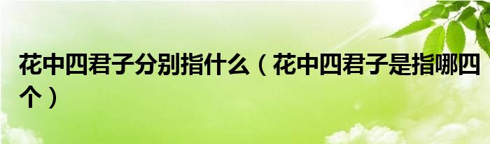 花中四君子分别指什么（花中四君子是指哪四个）