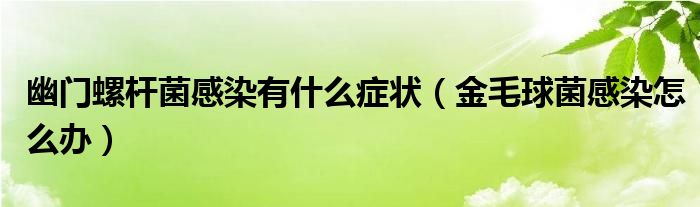 幽门螺杆菌感染有什么症状（金毛球菌感染怎么办）