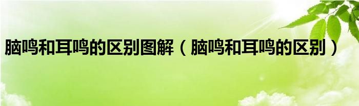 脑鸣和耳鸣的区别图解（脑鸣和耳鸣的区别）
