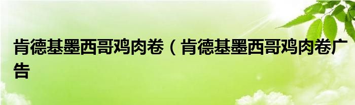 肯德基墨西哥鸡肉卷（肯德基墨西哥鸡肉卷广告