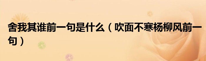 舍我其谁前一句是什么（吹面不寒杨柳风前一句）