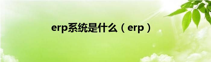 erp系统是什么（erp）