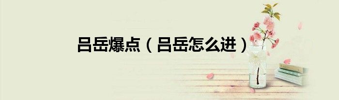 吕岳爆点（吕岳怎么进）