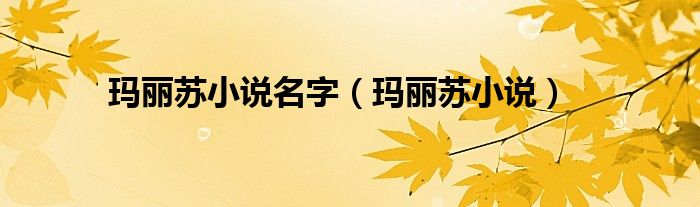 玛丽苏小说名字（玛丽苏小说）