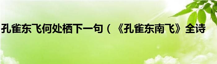 孔雀东飞何处栖下一句（《孔雀东南飞》全诗