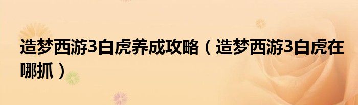 造梦西游3白虎养成攻略（造梦西游3白虎在哪抓）