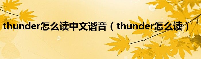 thunder怎么读中文谐音（thunder怎么读）