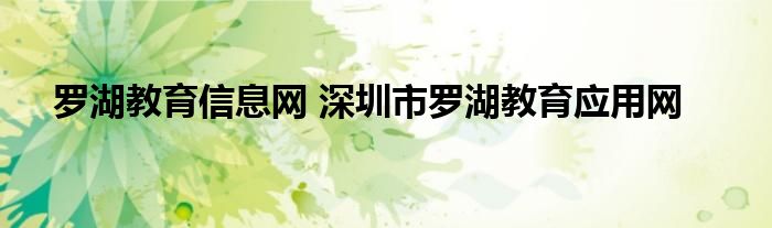 罗湖教育信息网 深圳市罗湖教育应用网