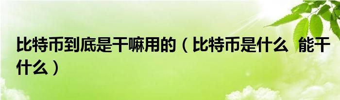 比特币到底是干嘛用的（比特币是什么  能干什么）